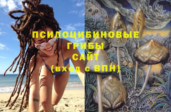 apvp Белокуриха