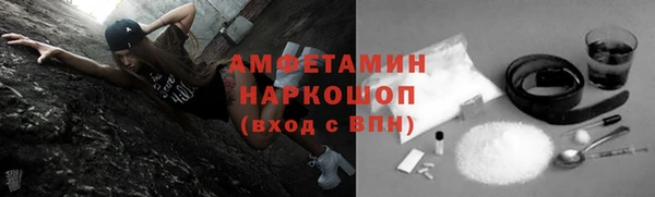 стаф Богданович