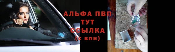 apvp Белокуриха